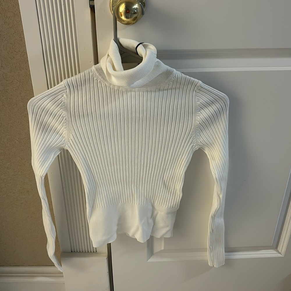 Zara Turtleneck